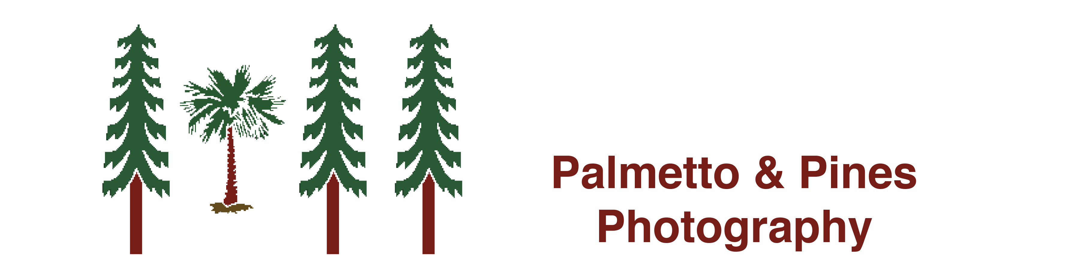Palmetto & Pines Photography